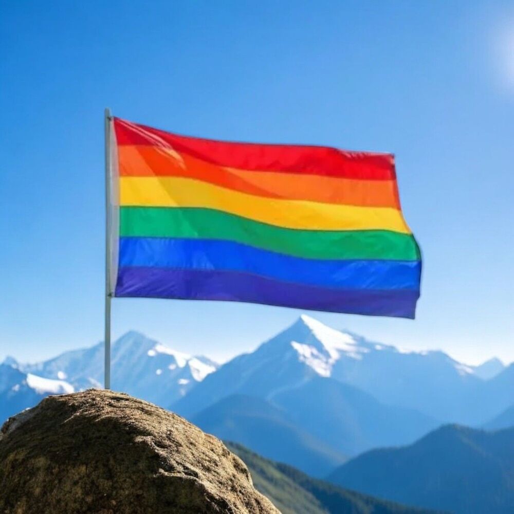 3x5FT Gay Pride Flag Rainbow LGBTQIA+ Love Equal Inclusion Parade Lesbian 3